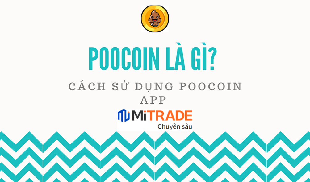 PooCoin là gì? Cách sử dụng PooCoin App và năm 2022 có nên mua PooCoin Token?
