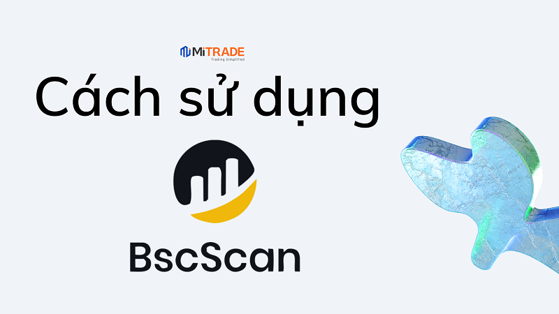 BscScan là gì? Toàn tập về cách sử dụng BscScan & cách check BscScan
