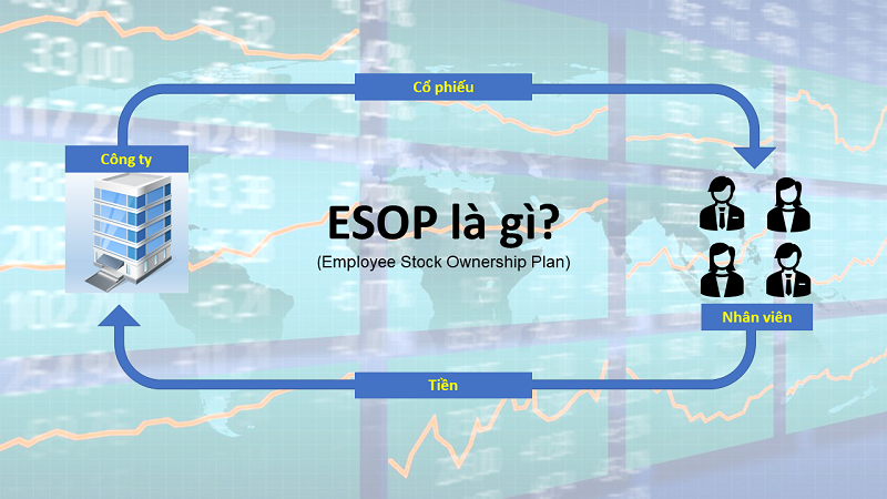 ESOP là gì và những điều nhà đầu tư cần lưu ý đối với hoạt động phát hành ESOP của doanh nghiệp